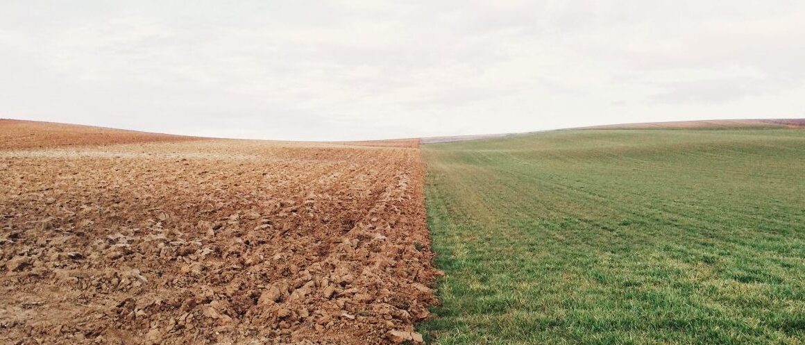 Réchauffement climatique et Santé