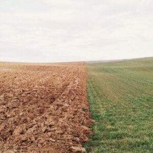 Réchauffement climatique et Santé