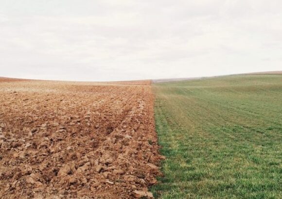 Réchauffement climatique et Santé