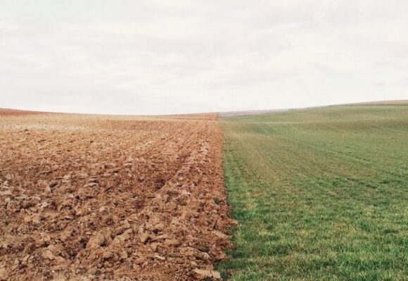 changement climatique