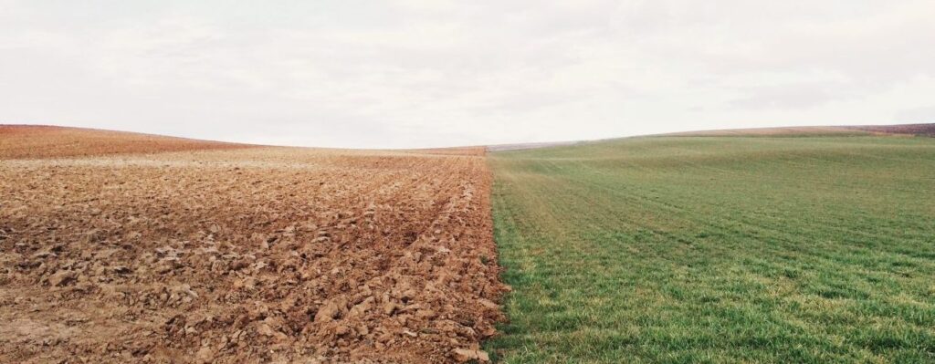 changement climatique